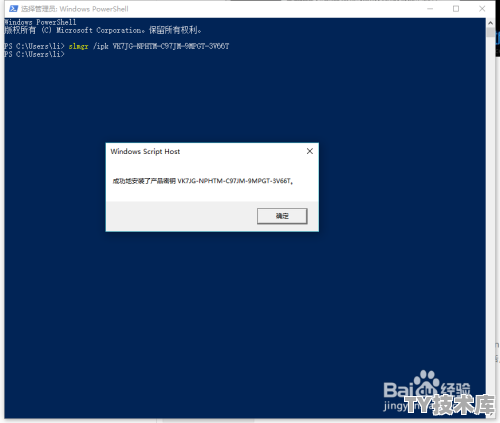 安装 Windows 10 的许可证